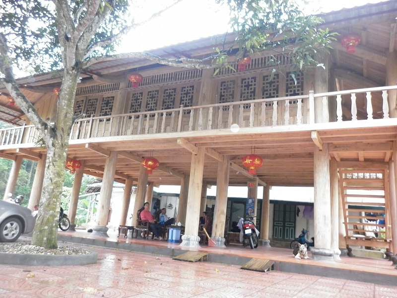 nha san yen bai de moc goc trai